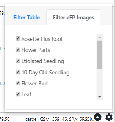 Help image for toggling and filtering eFP images from the RNA-table